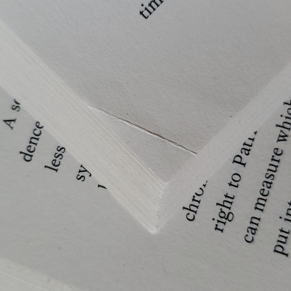 ☕ The Overstory Paperback Book - Picture 9 of 10